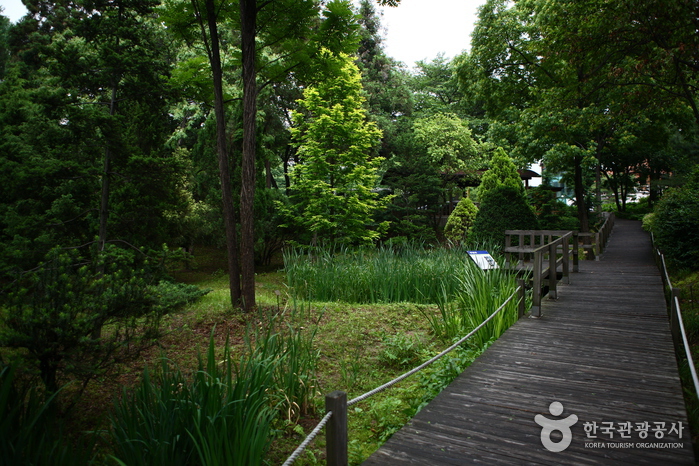 Arborétum de Hongneung (홍릉수목원)