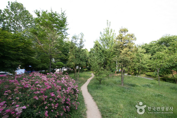 Sinteuri-Park (신트리공원)
