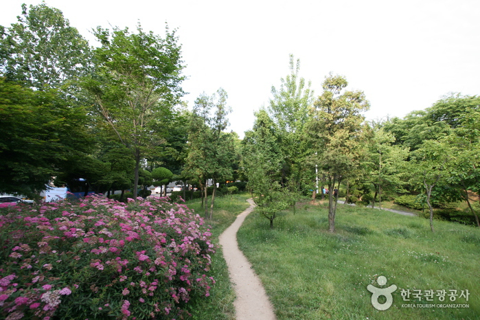 Parc Sinteuri (신트리공원)