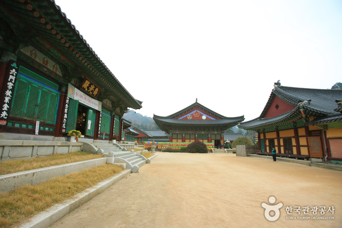 Woljeongsa Temple (오대산 월정사)