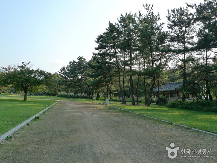 thumbnail-Gyeongju Five Royal Tombs (경주 오릉)-13