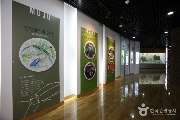 Bandi Land (무주 반디랜드)