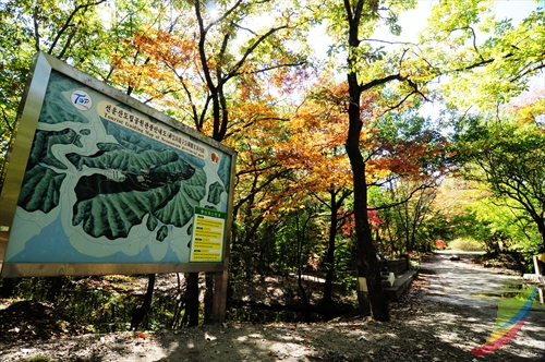 선운산도립공원 사진2