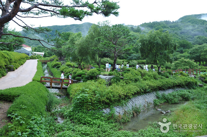 Arboretum de Daea (대아수목원)2