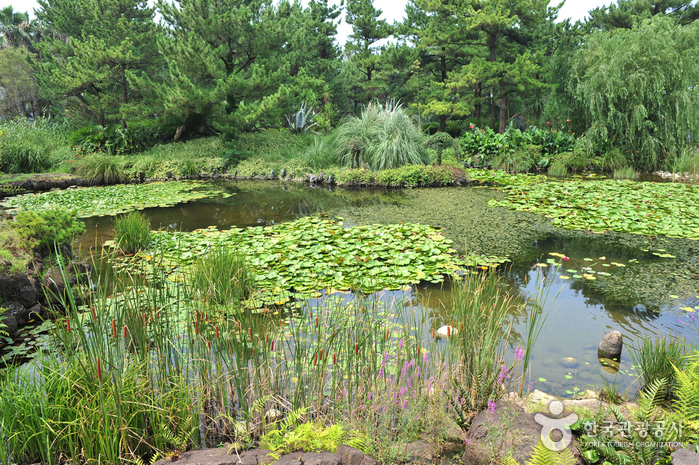 Hallim Park (한림공원)