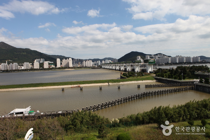 乙淑岛候鸟公园(을숙도 철새공원)