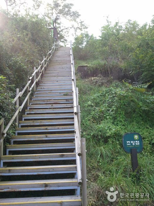 Monte Eungbongsan en Seúl (응봉산(서울))