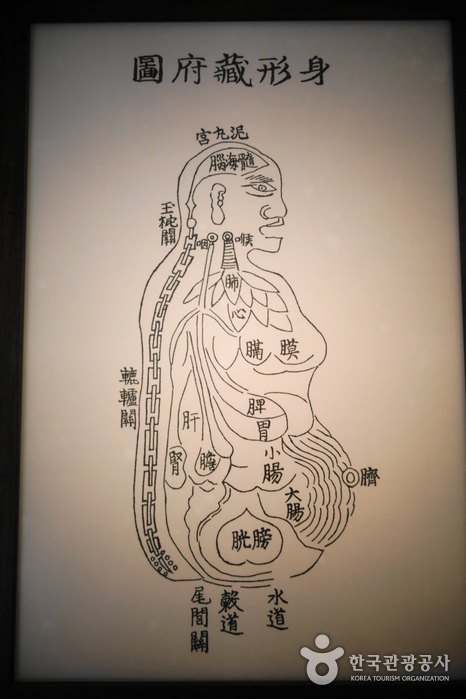 《동의보감》 처음에 등장하는 신형장부도