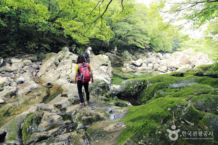 한라산 둘레길을 걷다 만나게 되는 다양한 모습의 계곡들