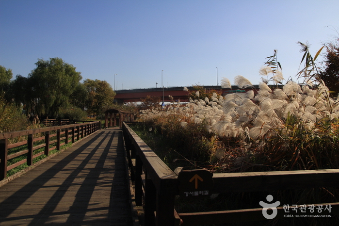 江西湿地生態公園（강서습지생태공원）