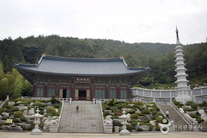 Festival des lanternes du temple Samgwangsa à Busan (삼광사 연등축제)