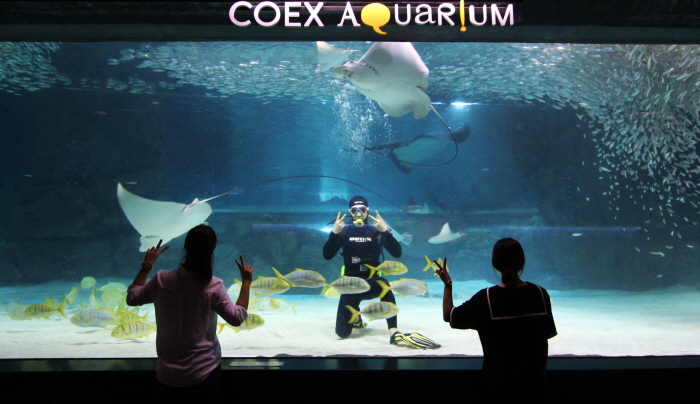 Aquarium del COEX (코엑스 아쿠아리움)