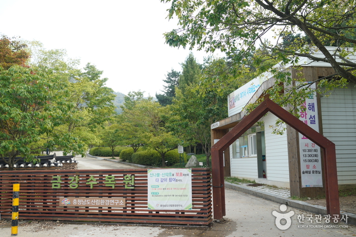 錦江自然休養林(錦江樹木園/山林博物館)(금강자연휴양림(금강수목원/산림박물관))9