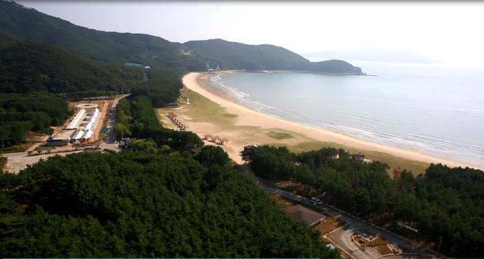 徳積島葦群生地（덕적도 갈대 군락지）