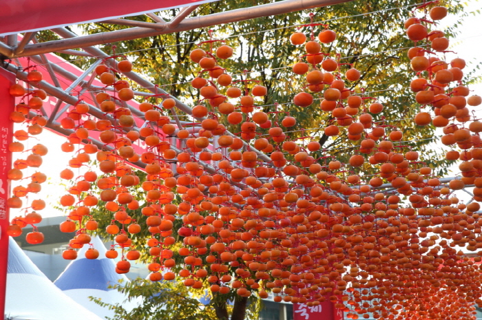 清道紅柿節(청도반시축제)
