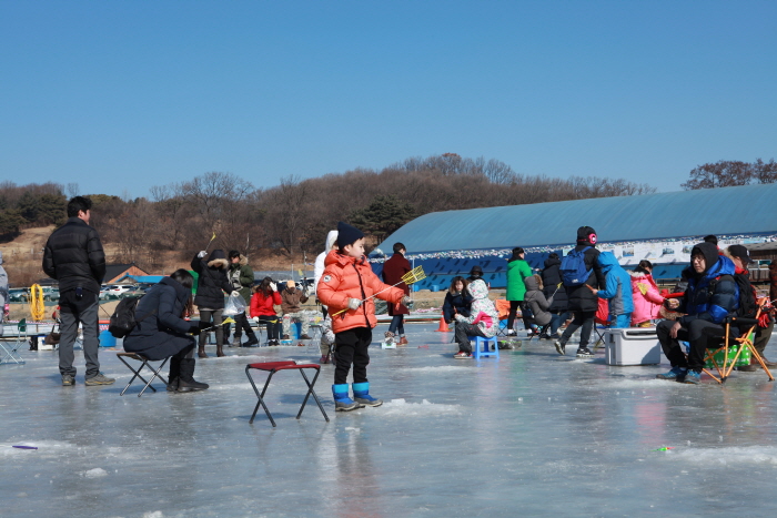 양주송어축제 20190