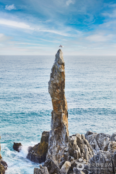 삼양라운드힐 (구, 대관령 삼양목장)7