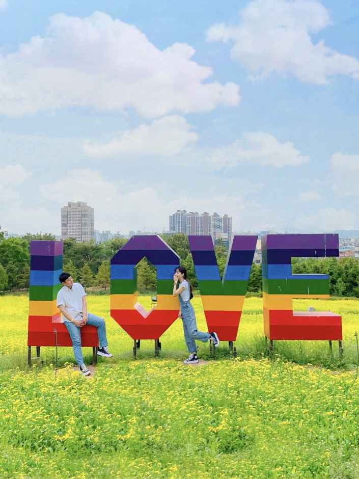 이월드 유채한 봄2