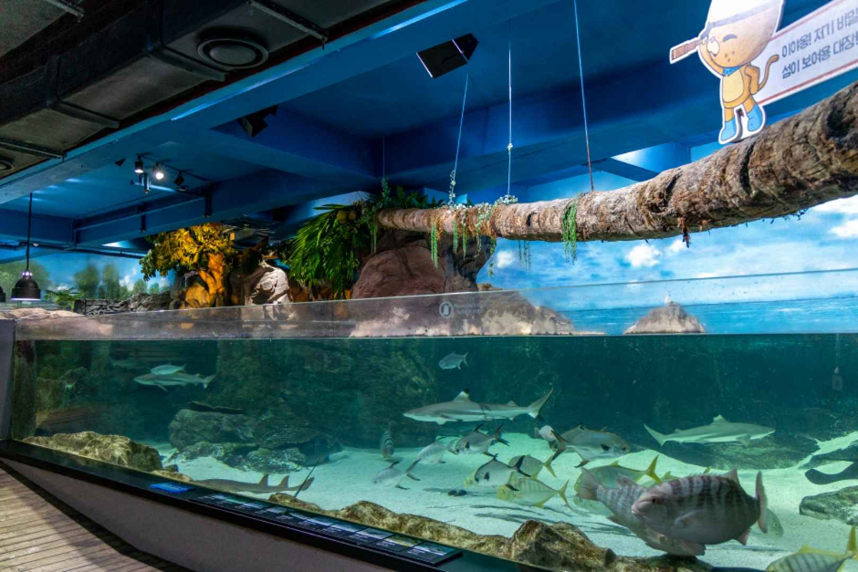 Aquarium du COEX (코엑스 아쿠아리움)