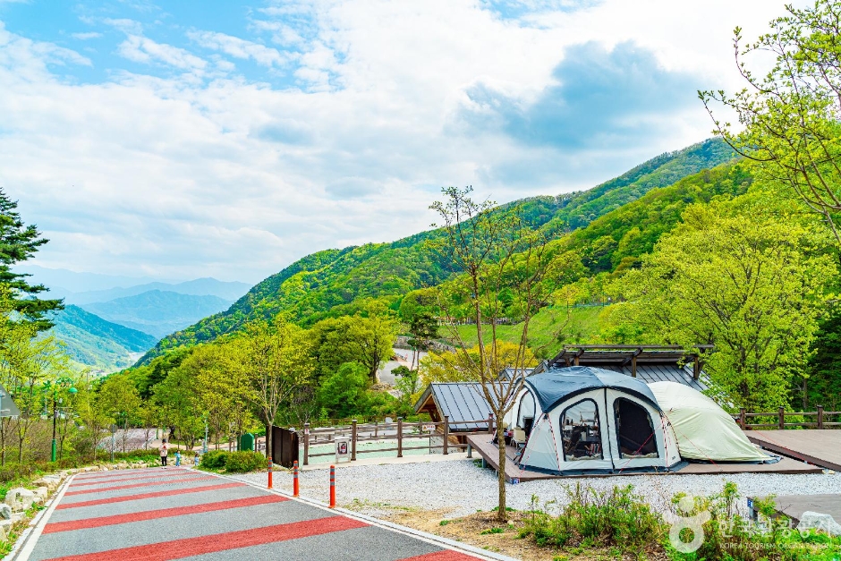 Hamyang Daebong Mountain Valley Resort (함양대봉산휴양밸리)