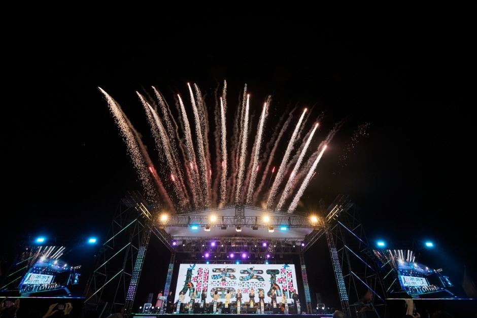 Sejong Festival (세종축제)