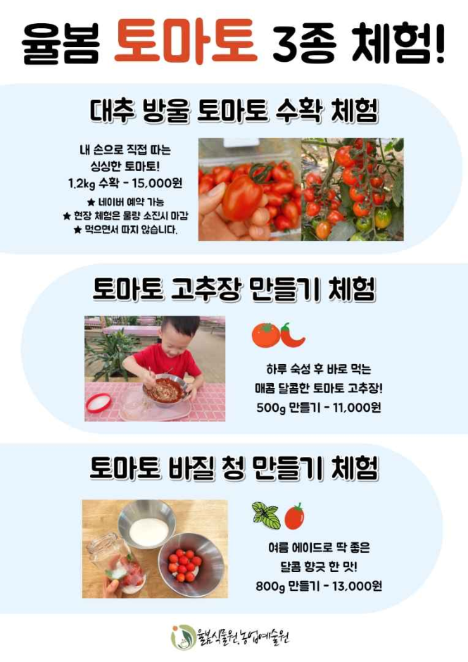 thumbnail-율봄식물원 토마토 시즌-20