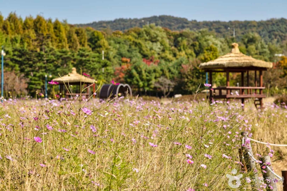 인천대공원