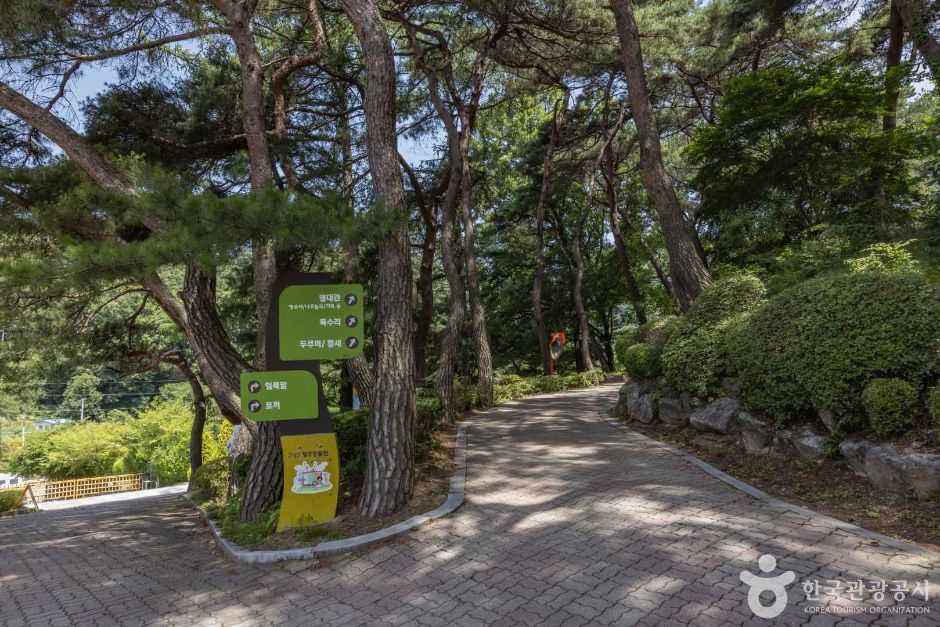 청주동물원 (10)