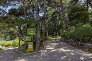 청주동물원 (10)