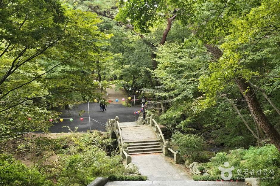 대구올레 팔공산 7코스 폭포골 가는 길_e (12)