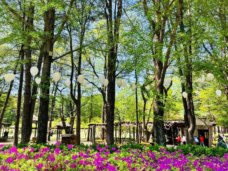 남이섬_11