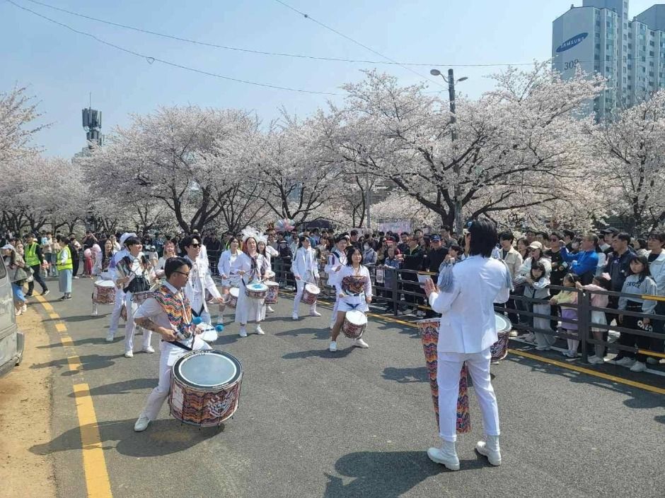 김포 벚꽃축제