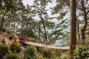 부산_부산 암남공원 (10)
