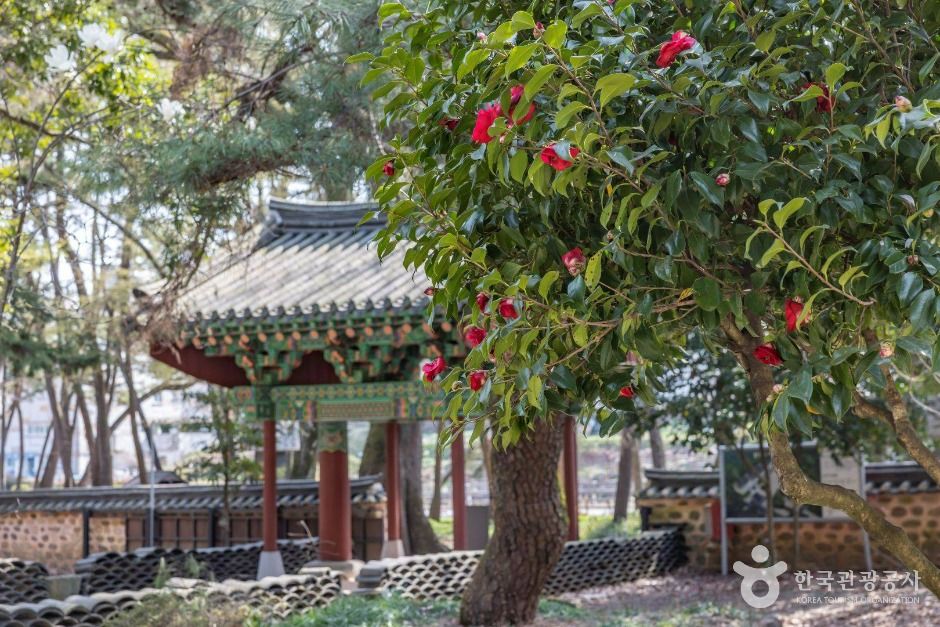 향림사(순천)