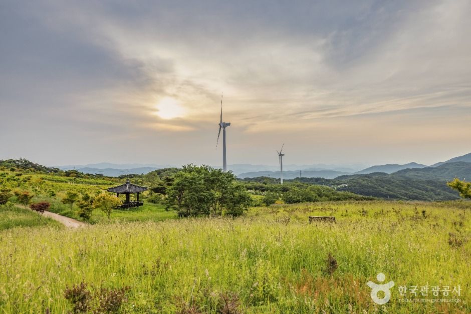 경주_경주 풍력발전(바람의언덕) (14)