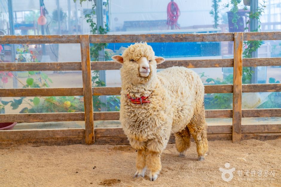 나눔농장(부천)