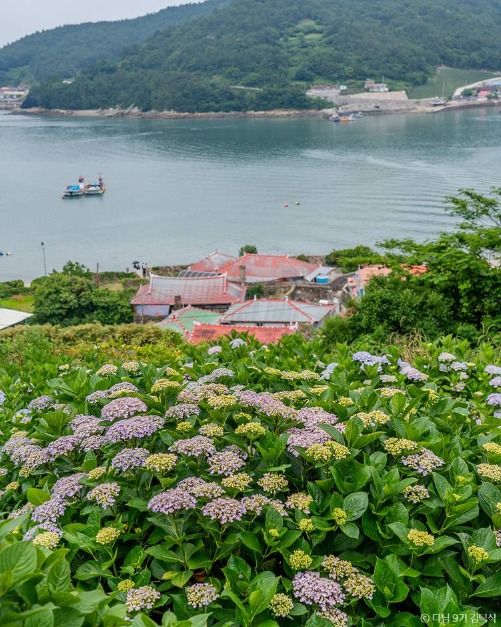 힐링파크 쑥섬쑥섬(애도)
