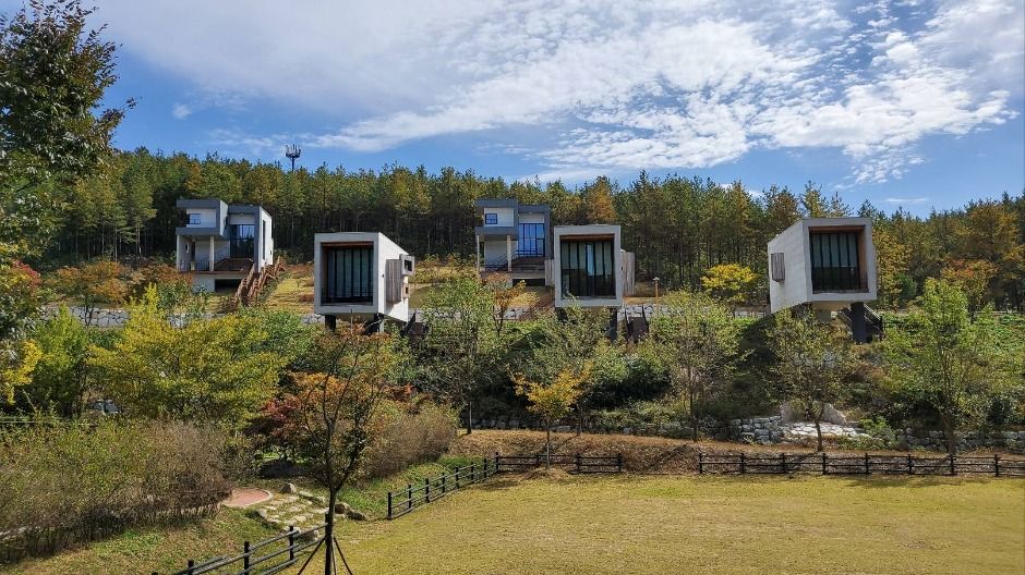 운주산승마자연휴양림