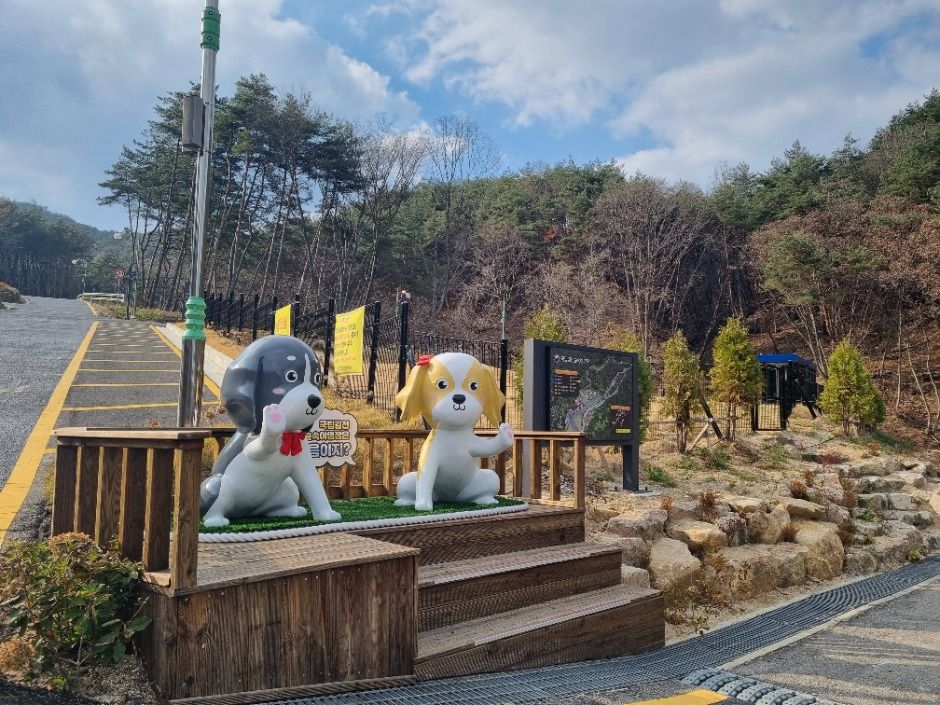 국립김천숲속야영장