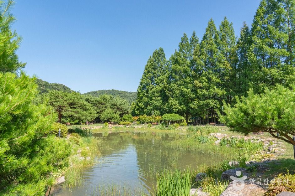 직지문화공원