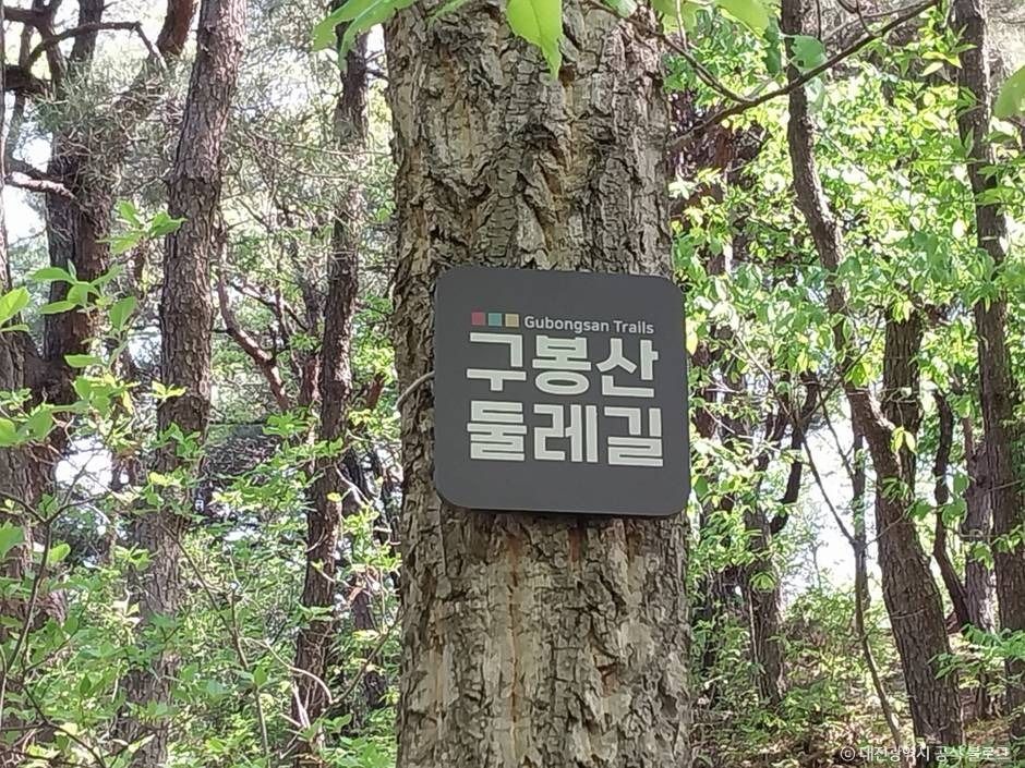 구봉산(대전)