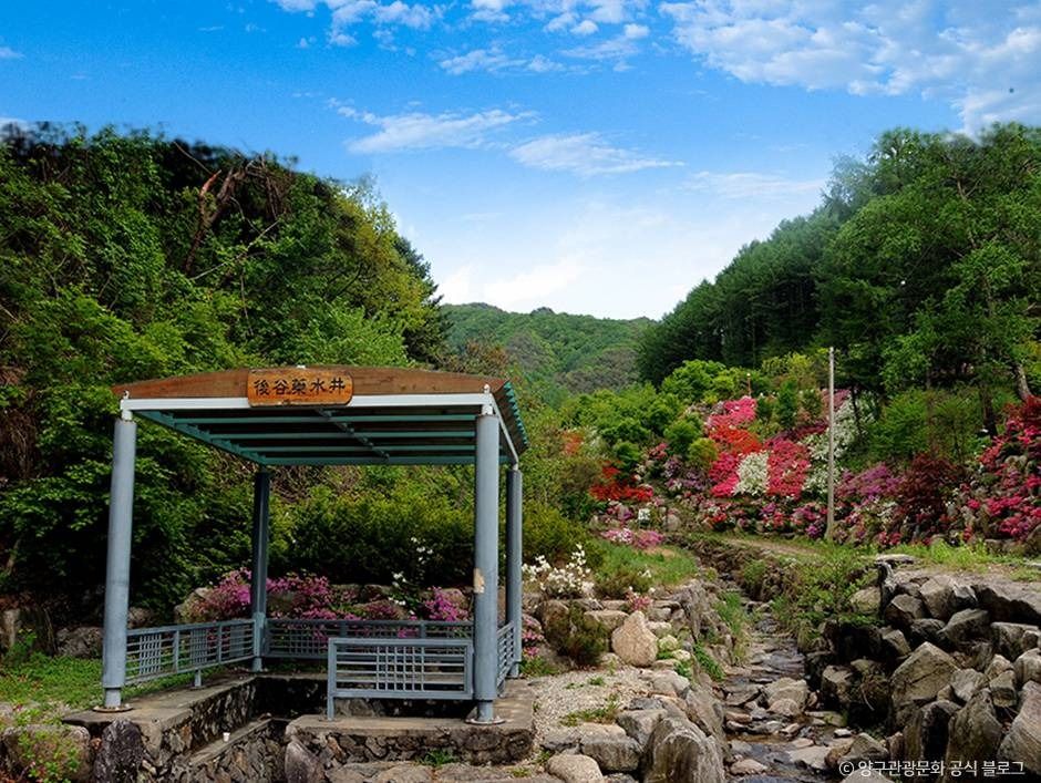 후곡약수터