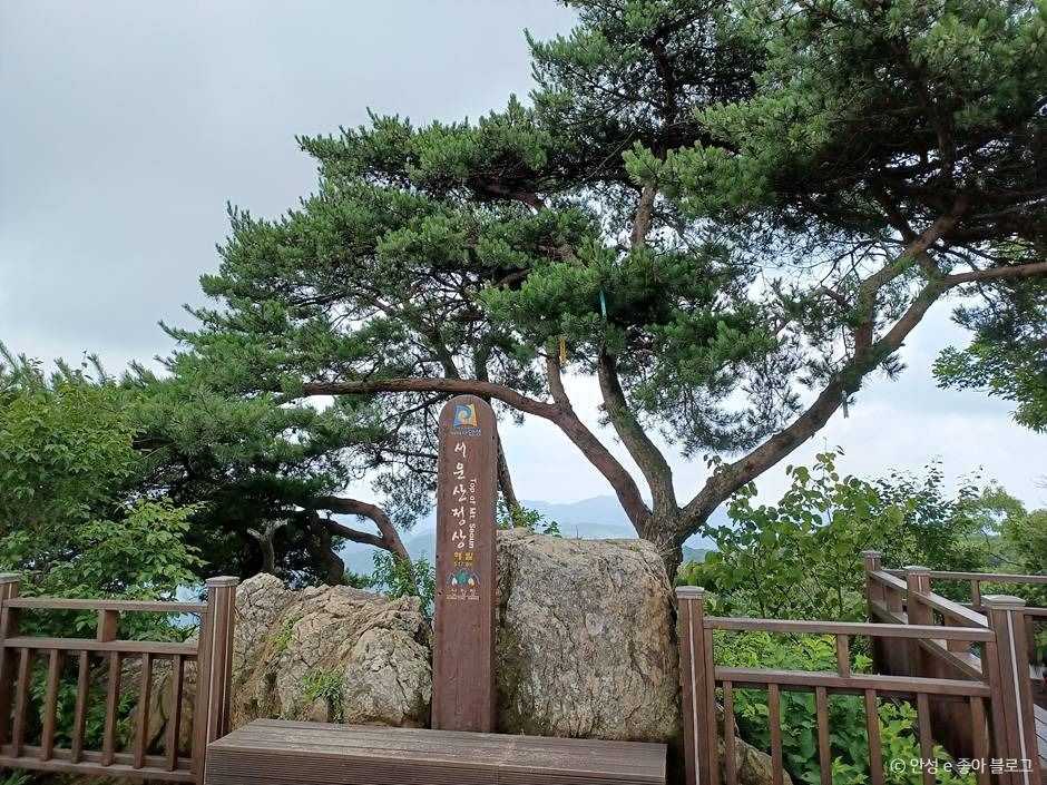 서운산