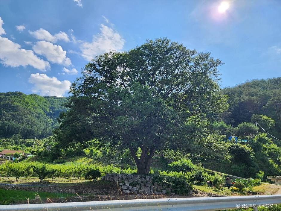 청량산비나리마을