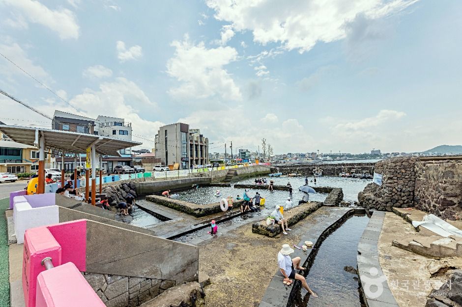 샛도리물