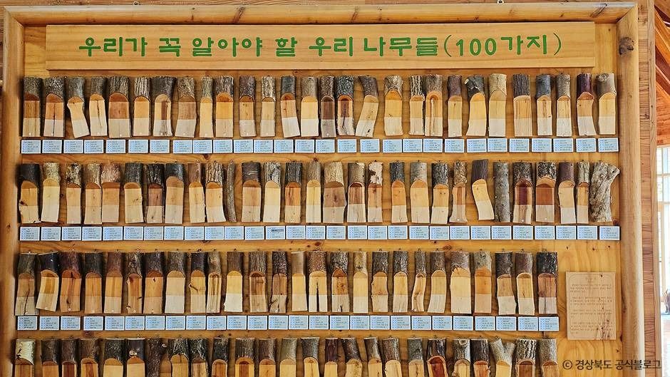 봉화목재문화체험장