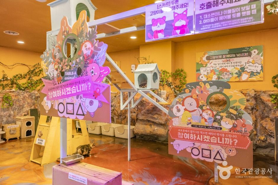 thumbnail-테이블에이 앤 로우캣-8