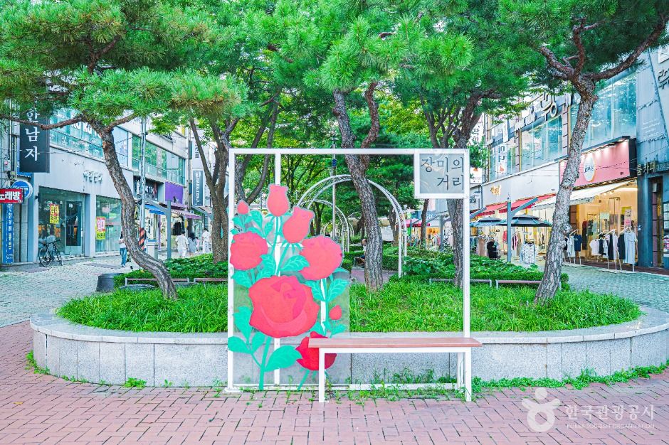 장미의거리