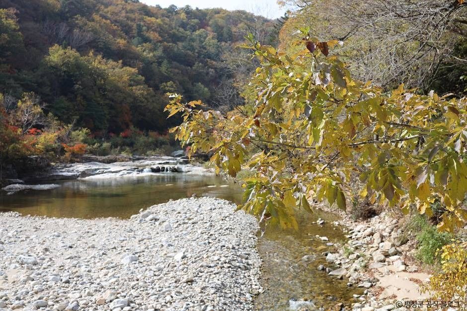 평창_오대산 선재길 (1)