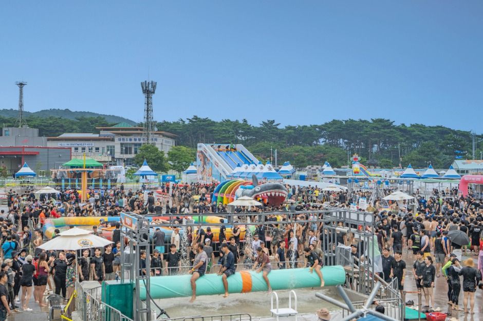 2025 보령머드축제 4